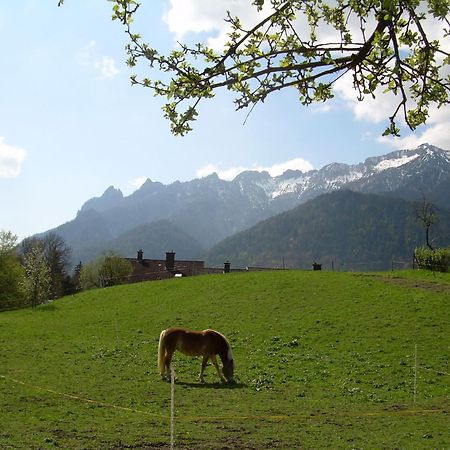 Bachbauernhof Lägenhet Bayerisch Gmain Exteriör bild