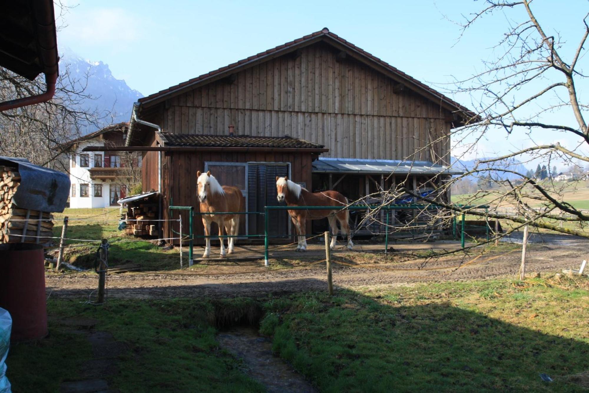 Bachbauernhof Lägenhet Bayerisch Gmain Exteriör bild