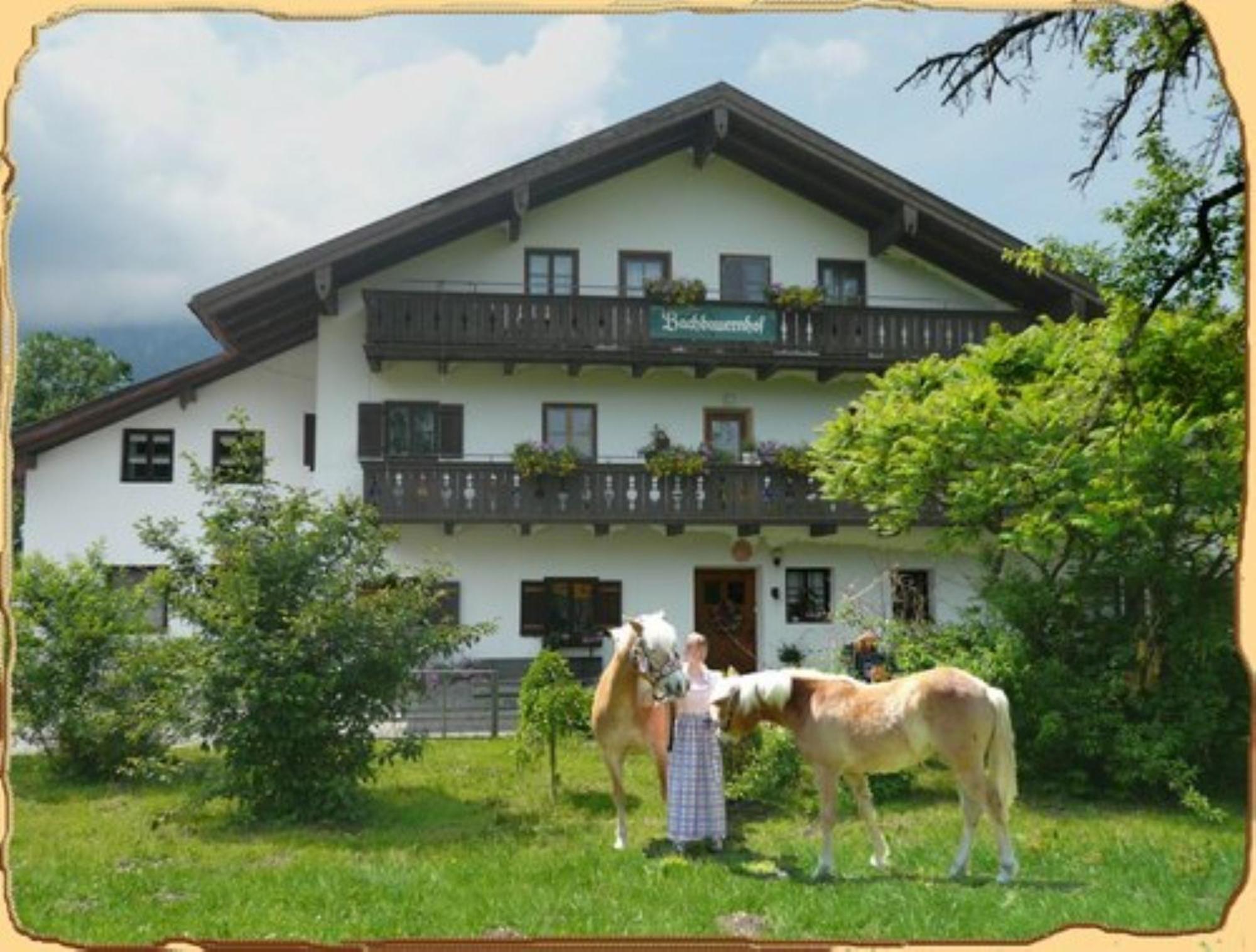 Bachbauernhof Lägenhet Bayerisch Gmain Exteriör bild